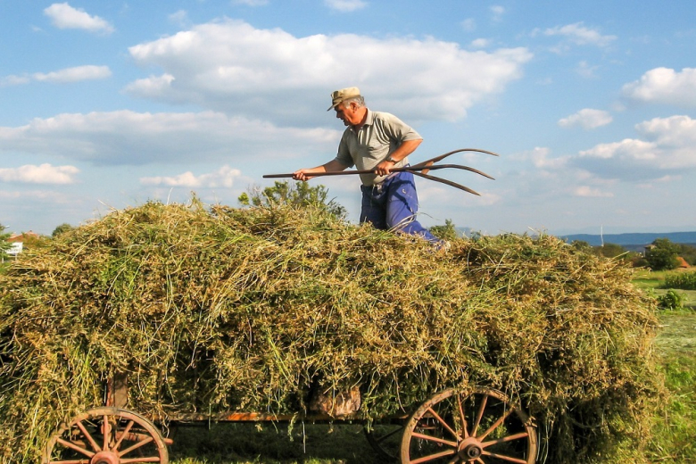 Российским аграриям упростят получение грантов